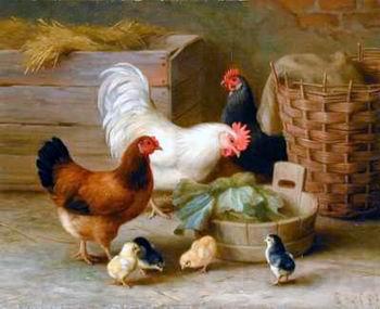 unknow artist Cocks 140 France oil painting art